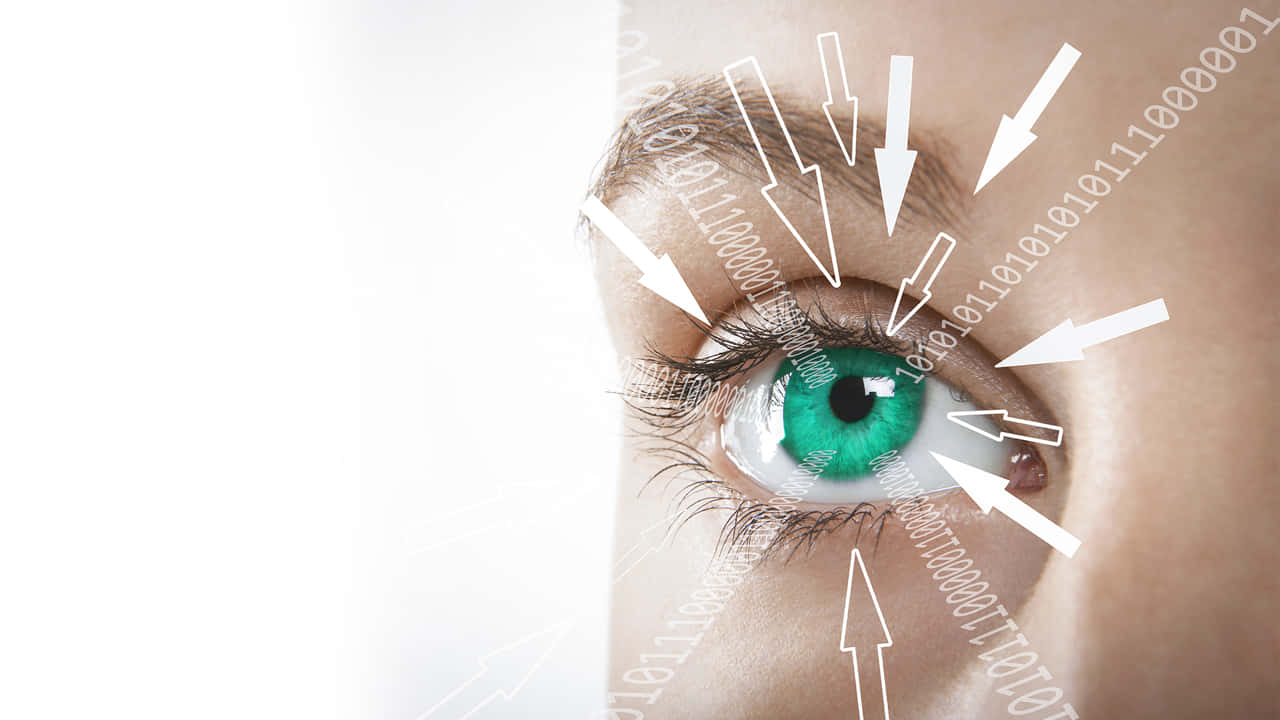Die richtige Software im Blick
